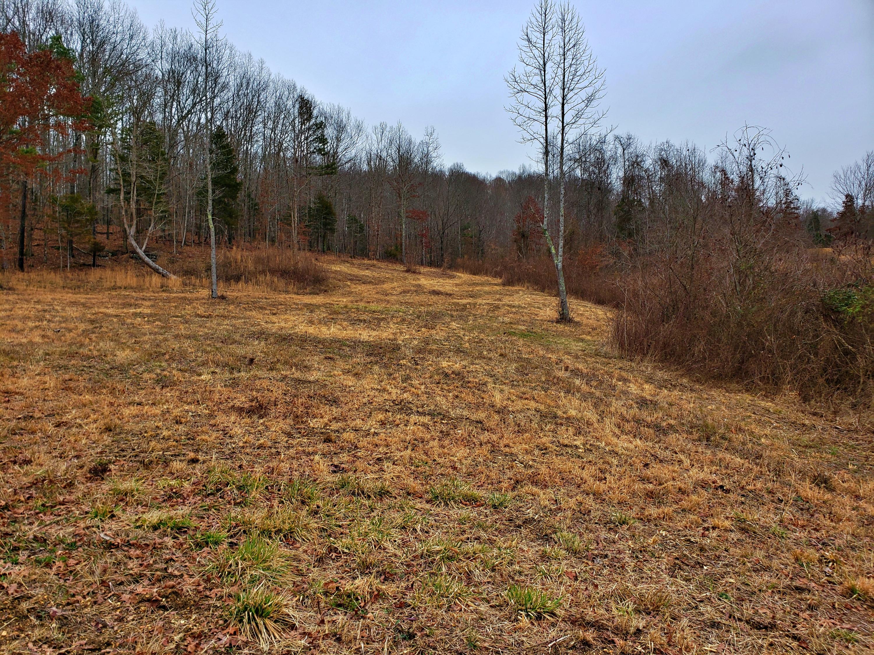 742 Rayl Hollow Road Decatur, TN 37322 - Photo 11 of 14 20210212_171333