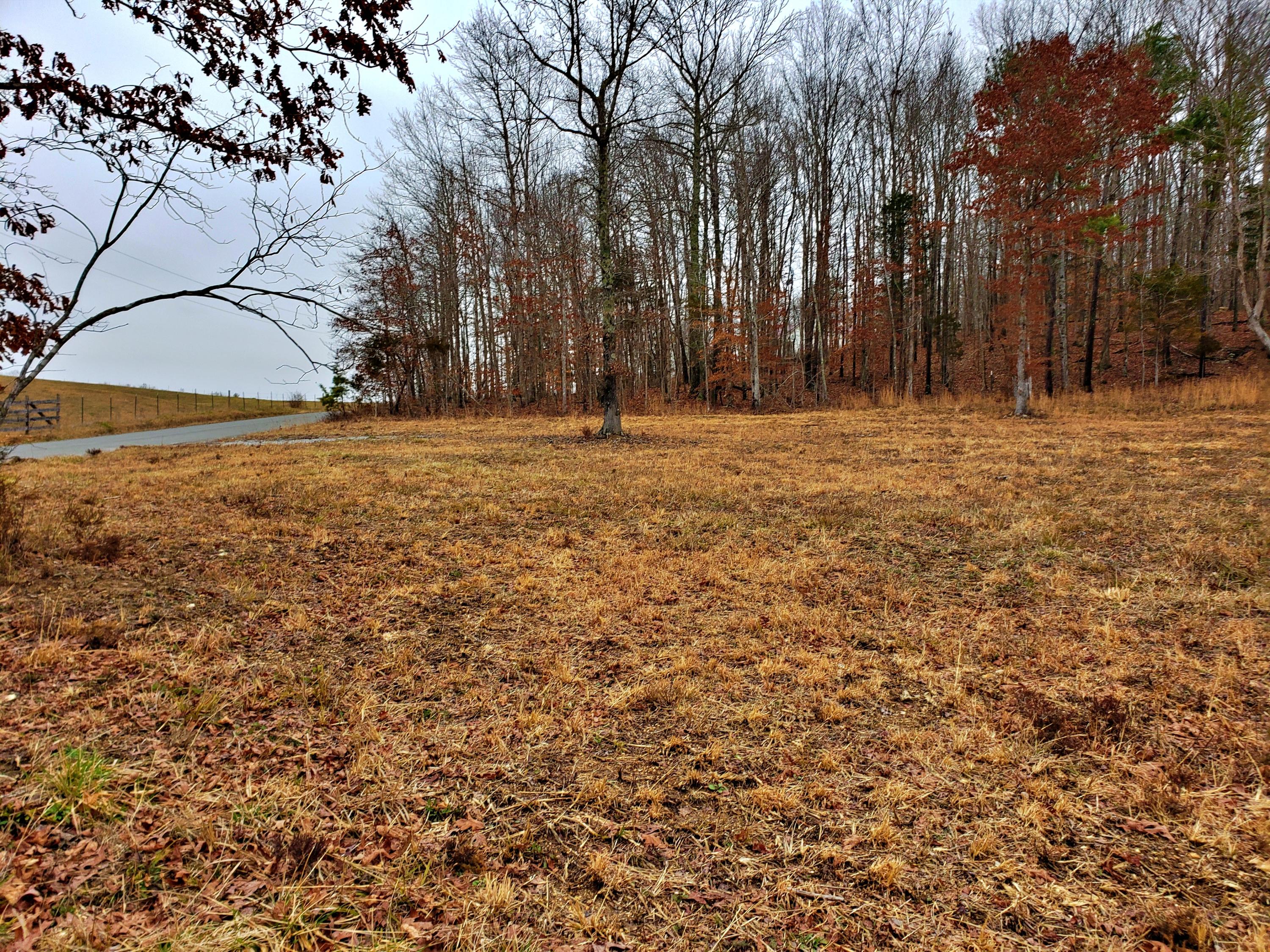 742 Rayl Hollow Road Decatur, TN 37322 - Photo 12 of 14 20210212_171340