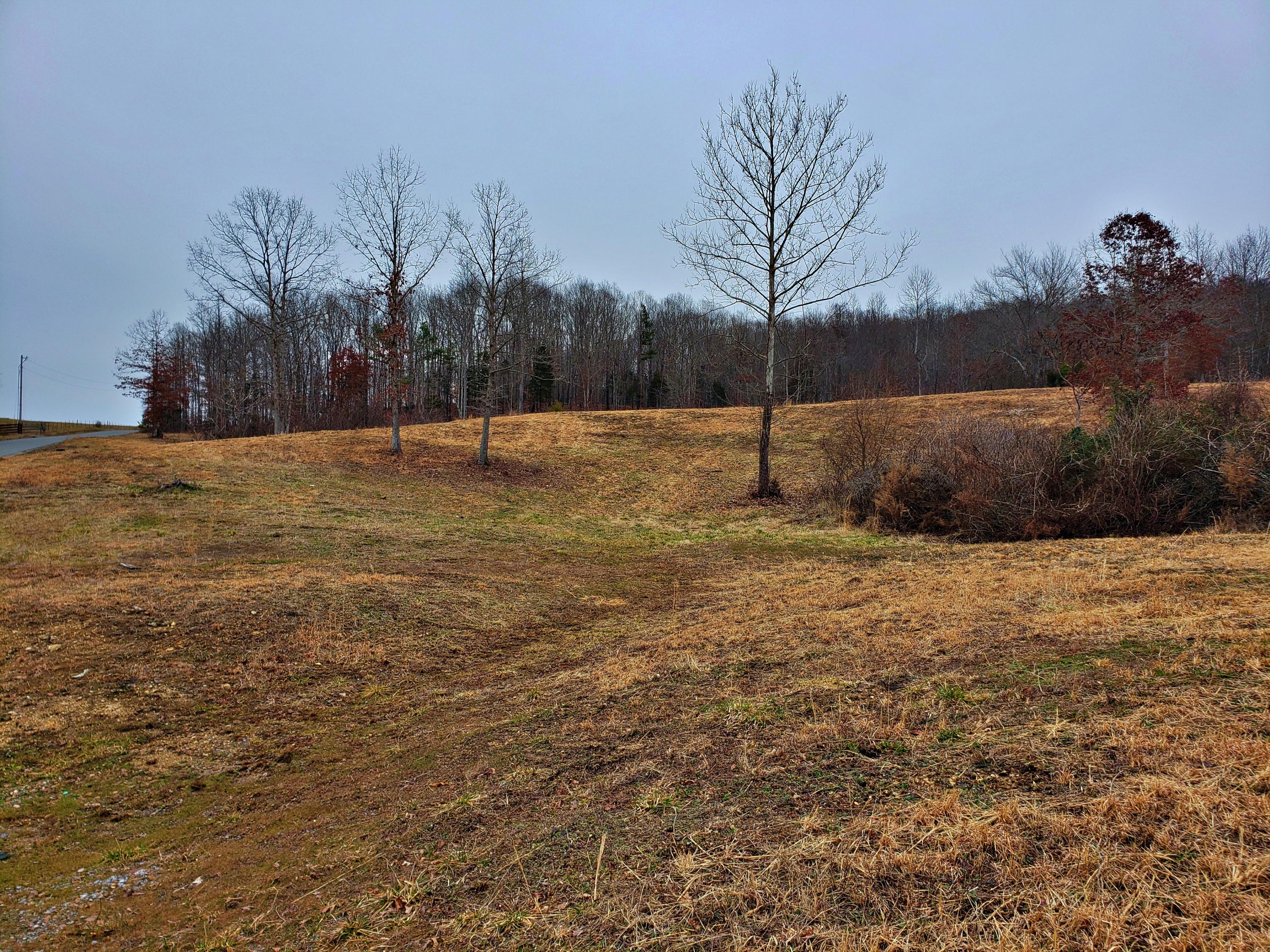 742 Rayl Hollow Road Decatur, TN 37322 - Photo 3 of 14 20210212_170956