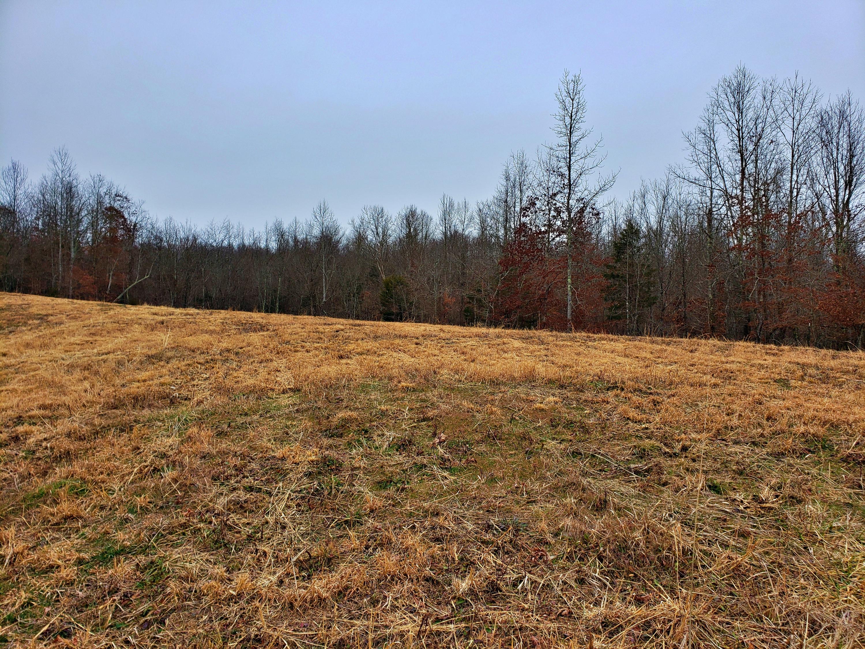 742 Rayl Hollow Road Decatur, TN 37322 - Photo 4 of 14 20210212_171001