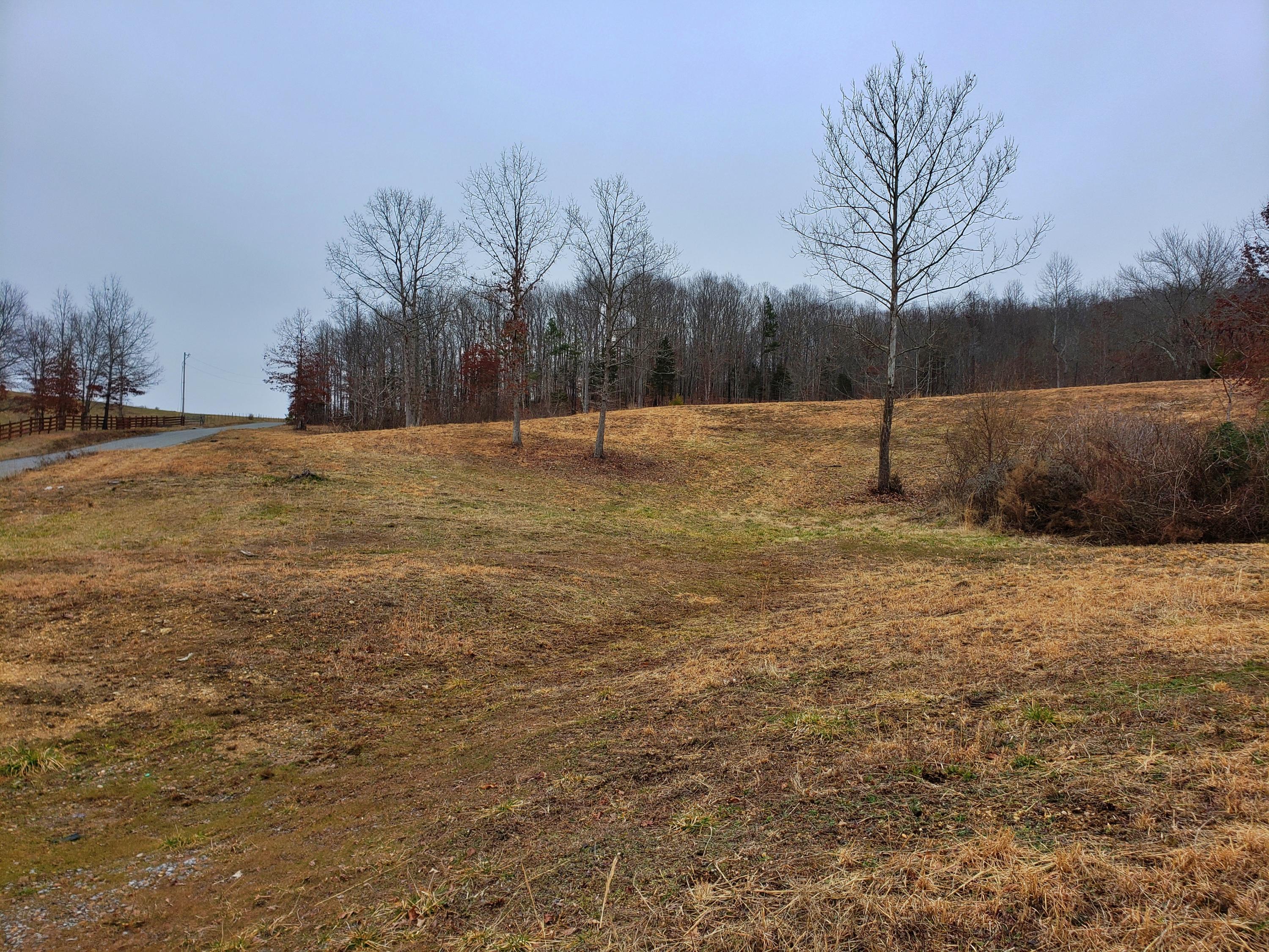 742 Rayl Hollow Road Decatur, TN 37322 - Photo 5 of 14 20210212_171005