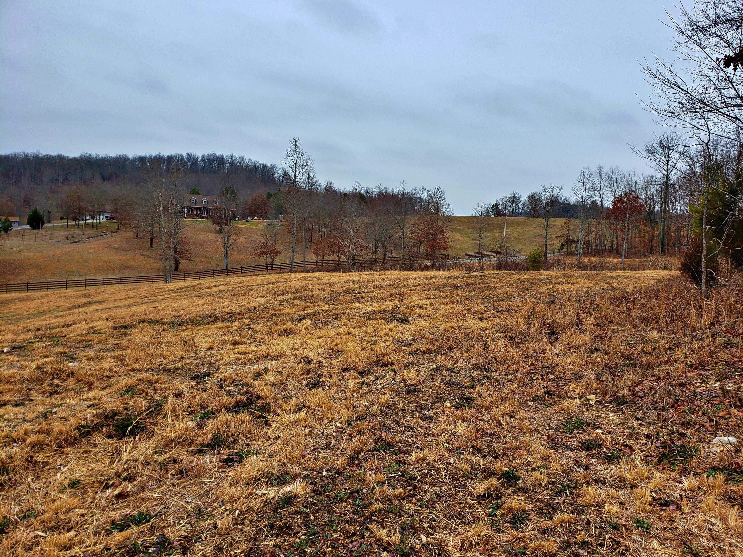 742 Rayl Hollow Road Decatur, TN 37322 - Photo 6 of 14 20210212_171106