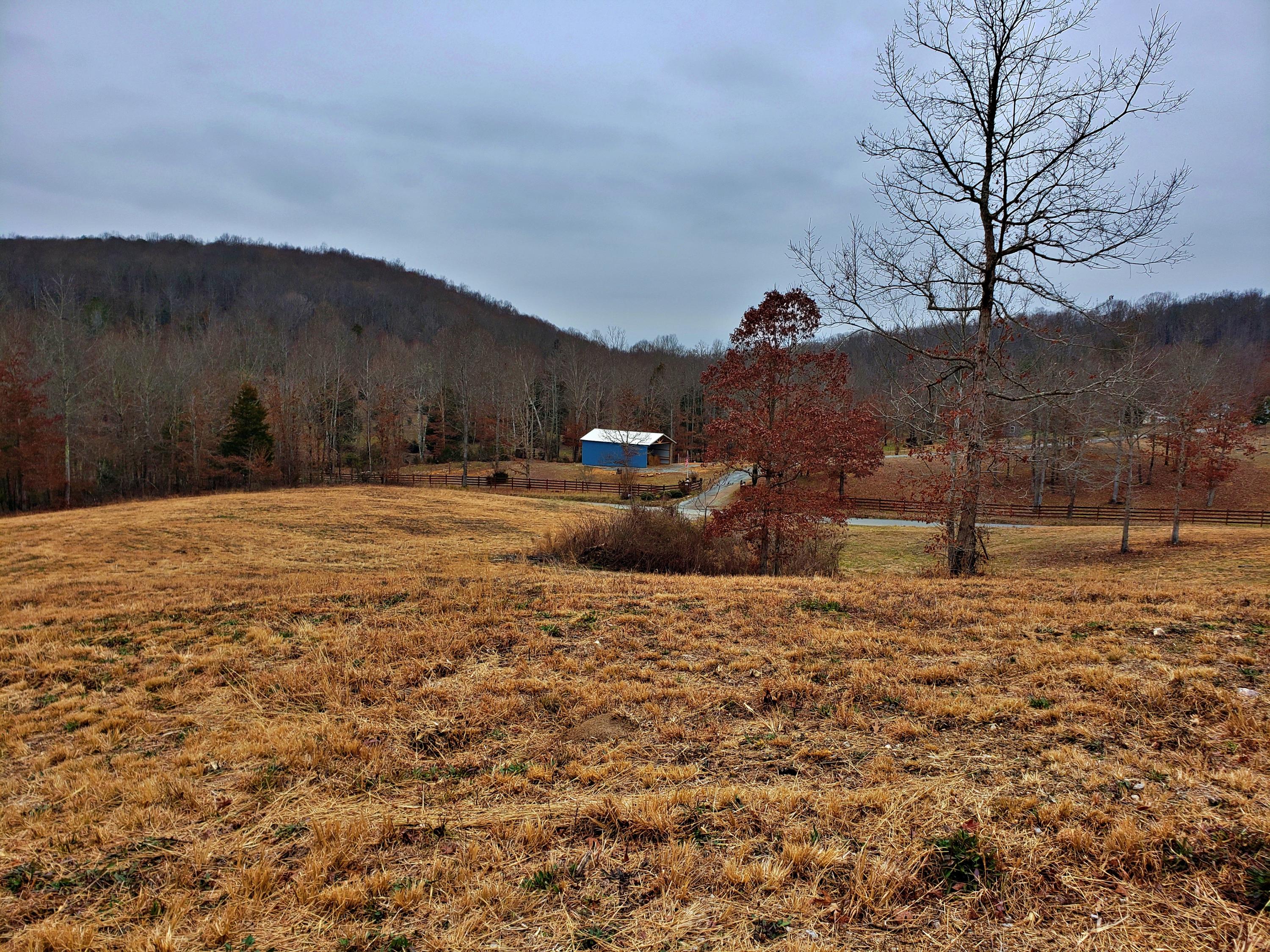 742 Rayl Hollow Road Decatur, TN 37322 - Photo 7 of 14 20210212_171110