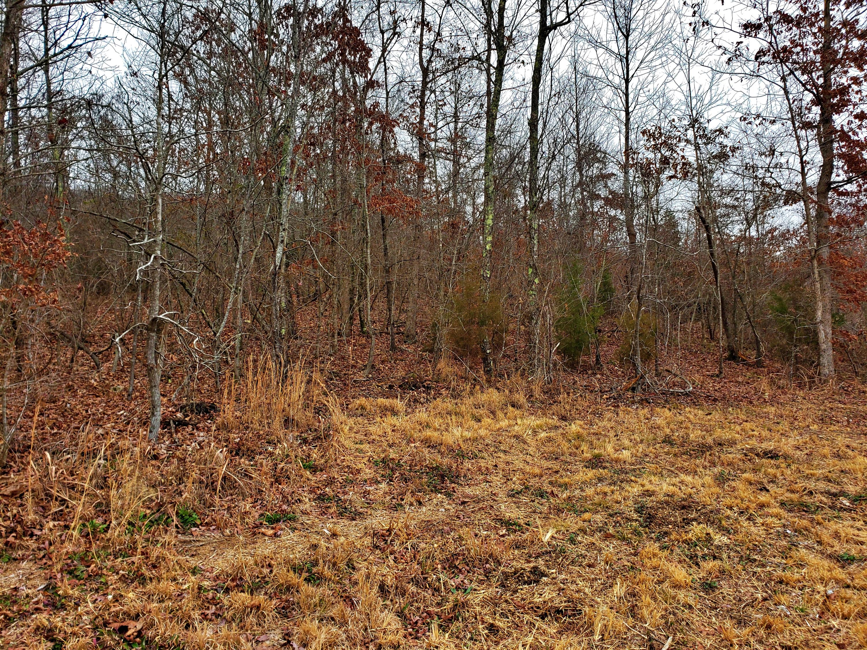 742 Rayl Hollow Road Decatur, TN 37322 - Photo 9 of 14 20210212_171119