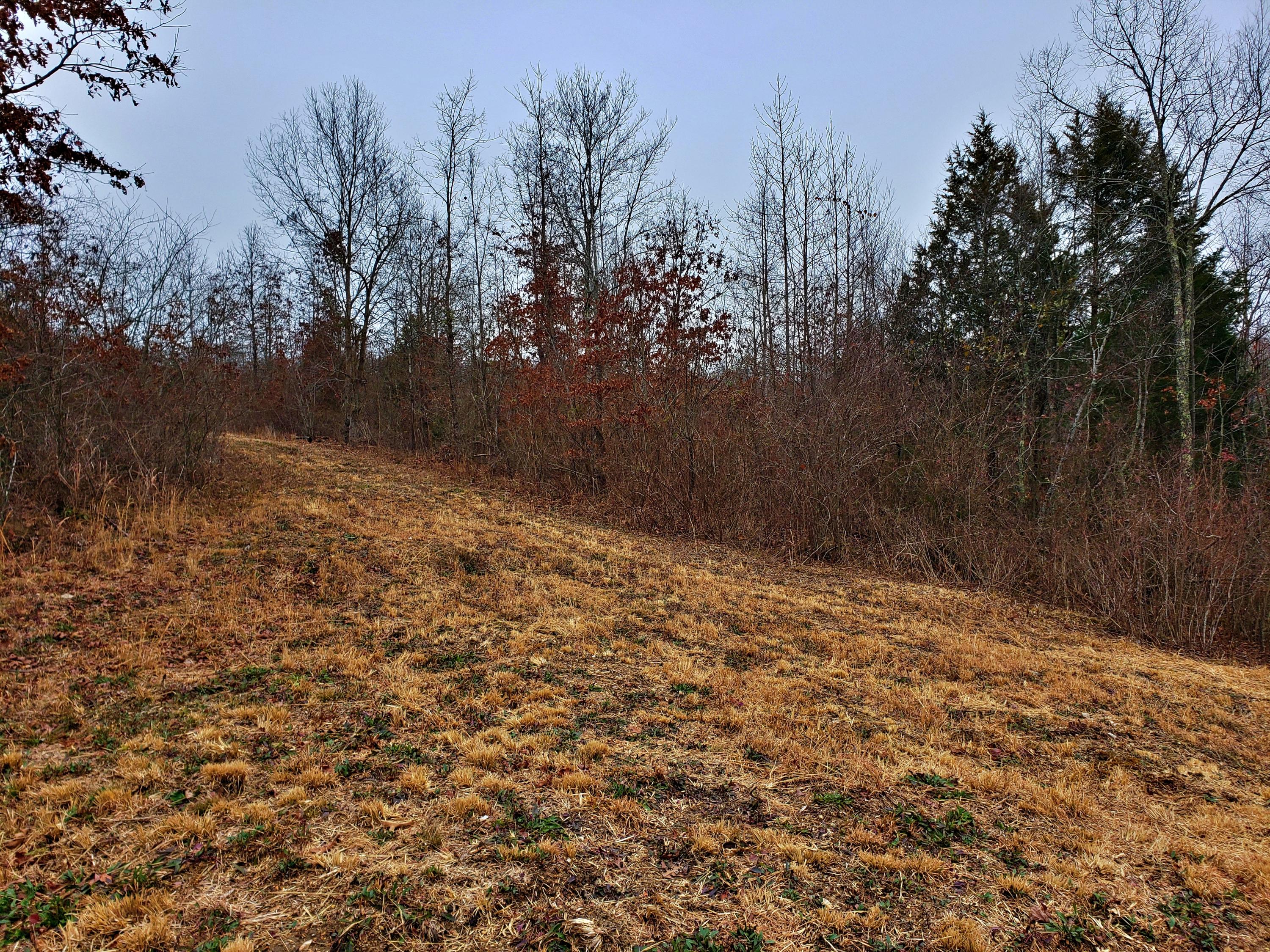 742 Rayl Hollow Road Decatur, TN 37322 - Photo 10 of 14 20210212_171126