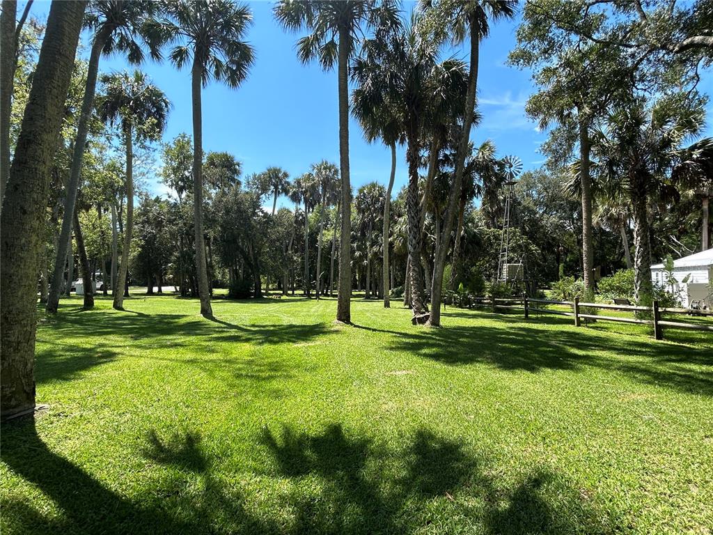 a view of a park and trees