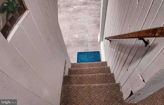 a view of a back yard