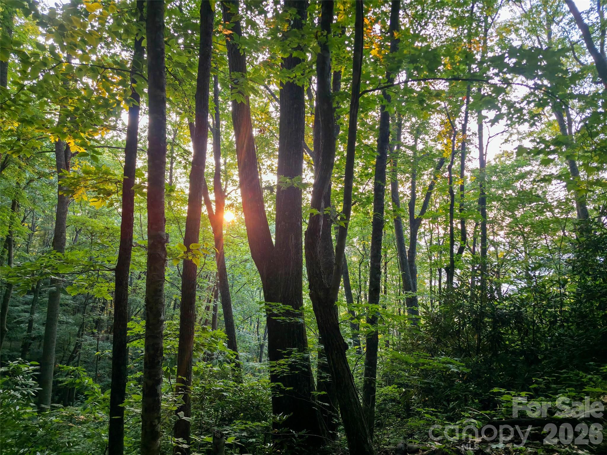 B1-b4 Anglers Ridge Waynesville, NC 28786 - Photo 7 of 21 Gallery Image 7
