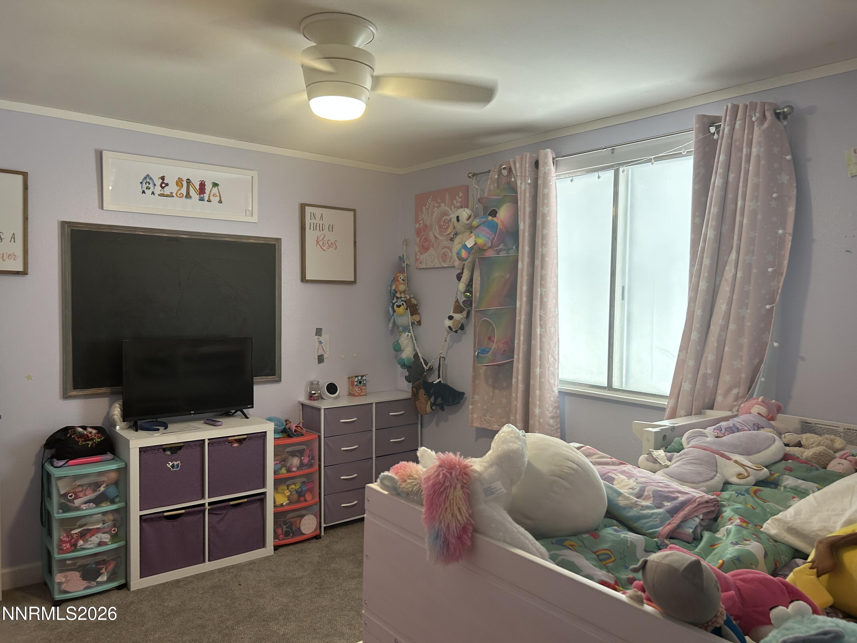 2540 Lone Tree Road Fallon, NV 89406 - Photo 9 of 24 IMG_1110