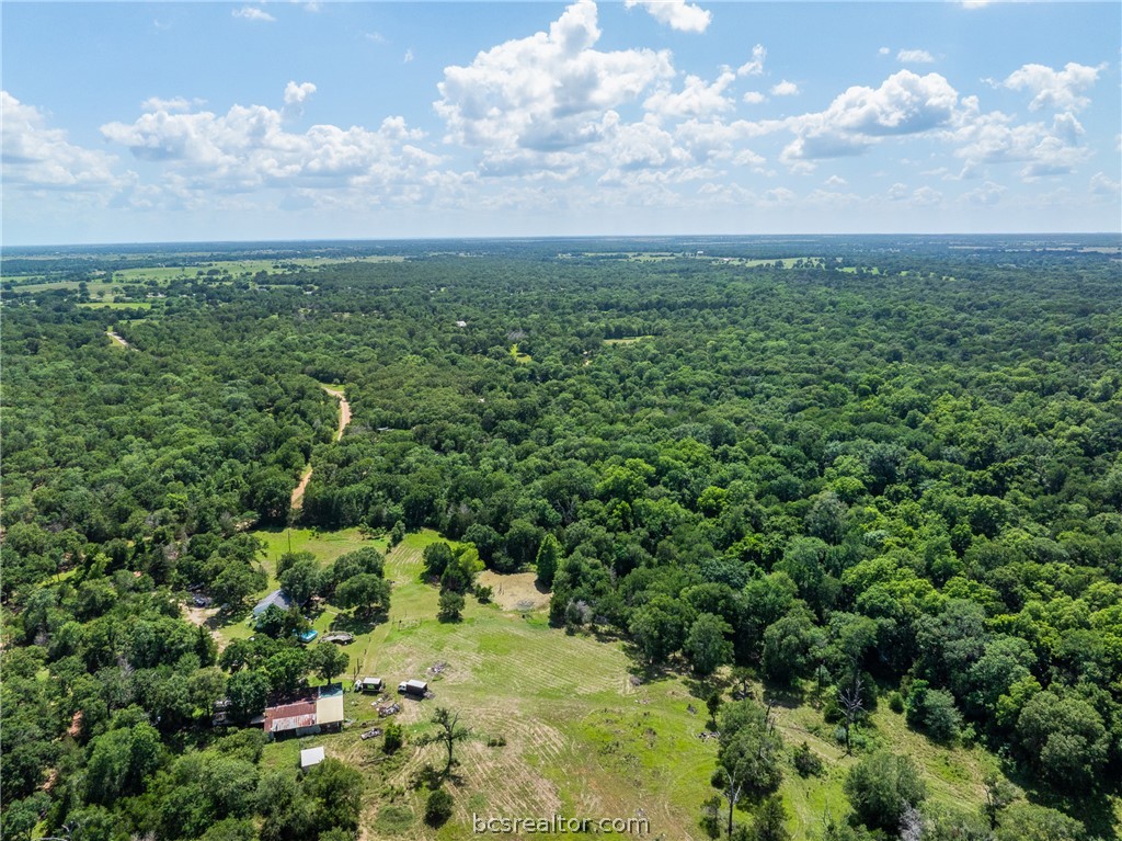 Tbd Weber Road Bryan, TX 77808 - Photo 33 of 43
