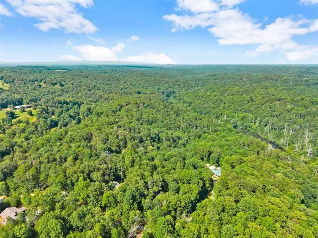 a view of a green field with lots of bushes