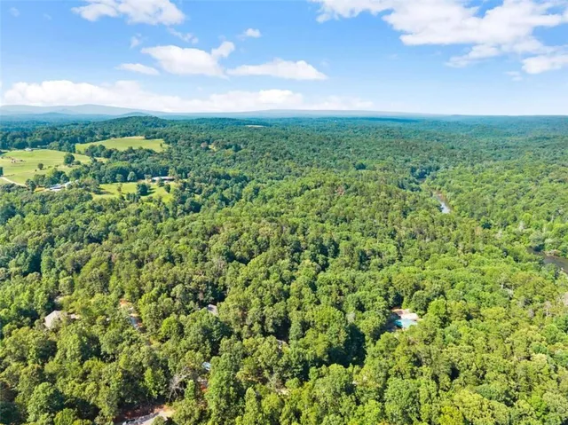 a view of a big yard with plants and large trees