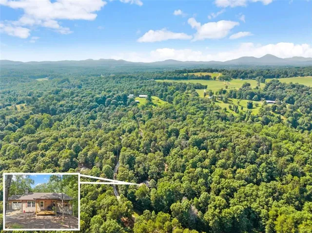 a view of a city with lush green forest