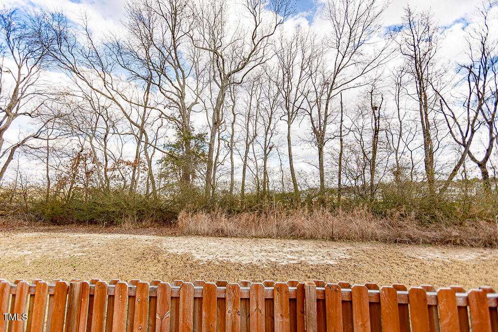 3220 Lacewing Drive Zebulon, NC 27597 - Photo 59 of 69 3220LacewingDrZebulon-60