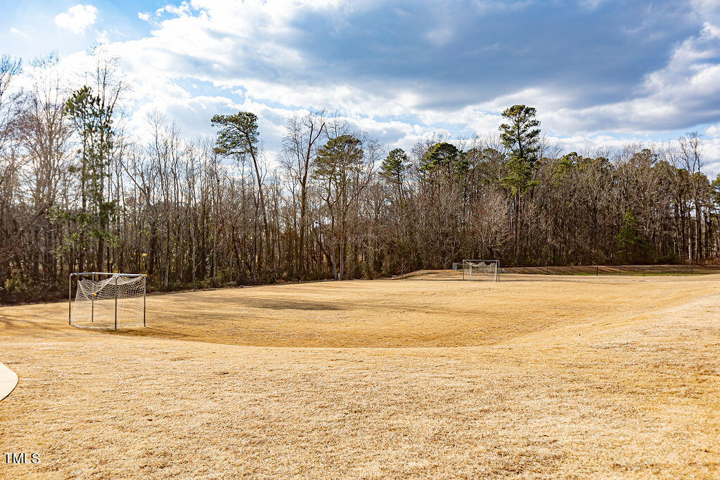 3220 Lacewing Drive Zebulon, NC 27597 - Photo 62 of 69 a view of a terrace view