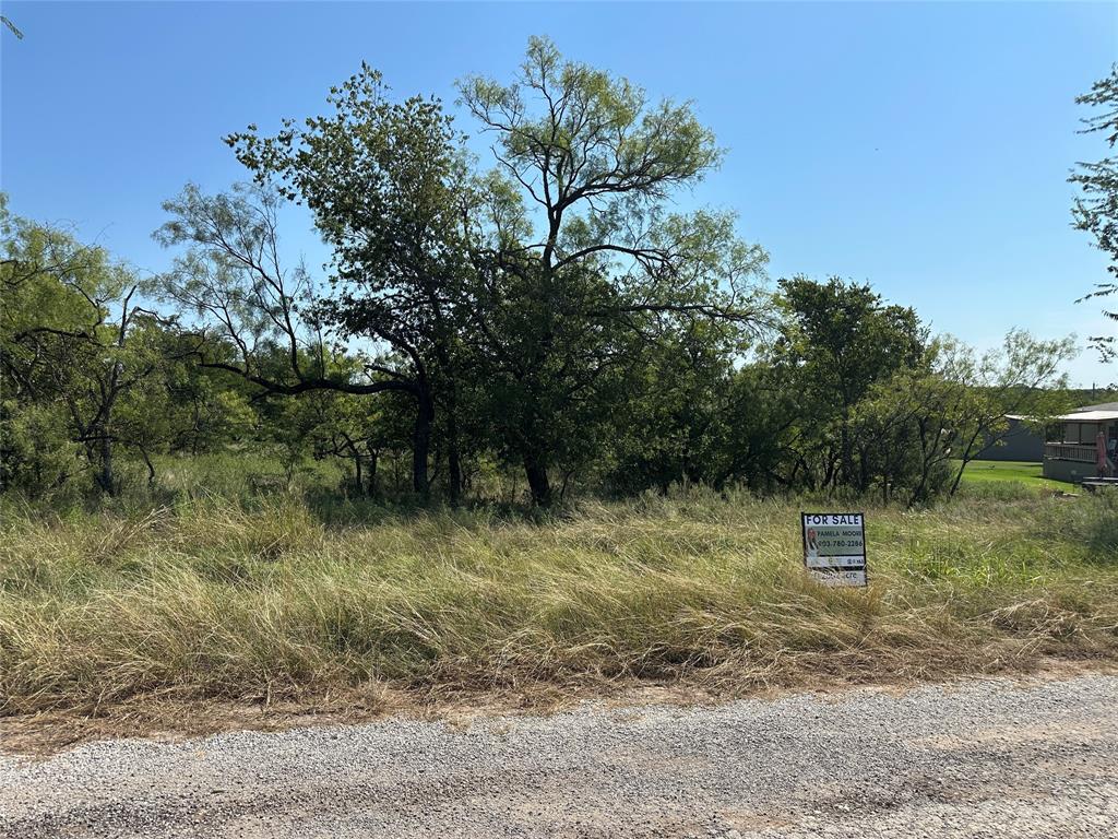 a view of a dry yard with trees