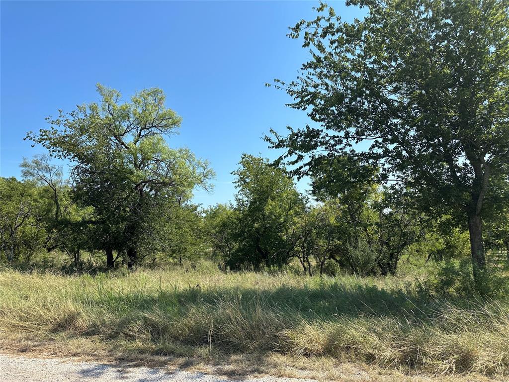 Tbd Overland Trail Jacksboro, TX 76458 - Photo 3 of 4 a view of a tree