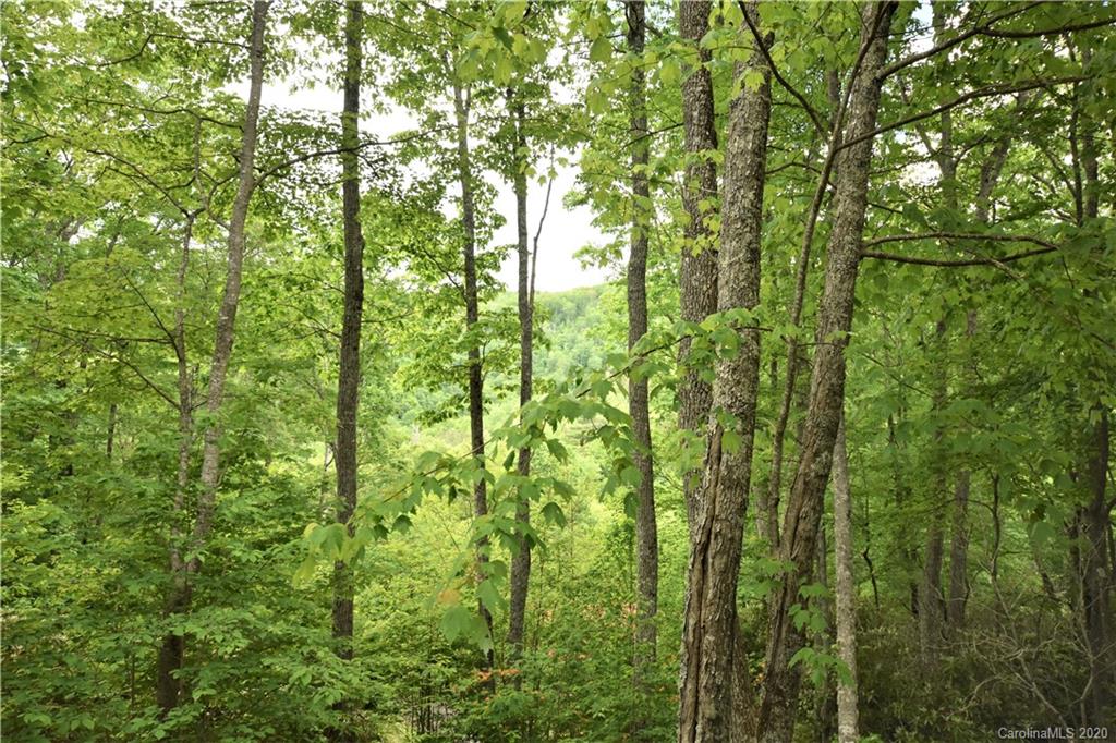 473 Copper Spur Road Maggie Valley, NC 28751 - Photo 9 of 27 Gallery Image 9