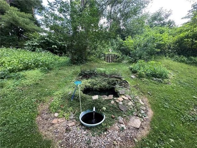 a backyard of a house with lots of green space