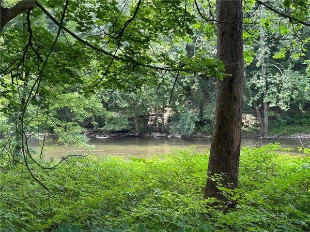 a view of yard with green space