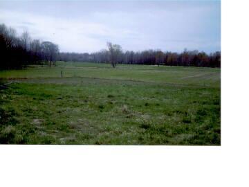 6475 North Stone Road Hesperia, MI 49421 - Photo 2 of 2 Additional Photo