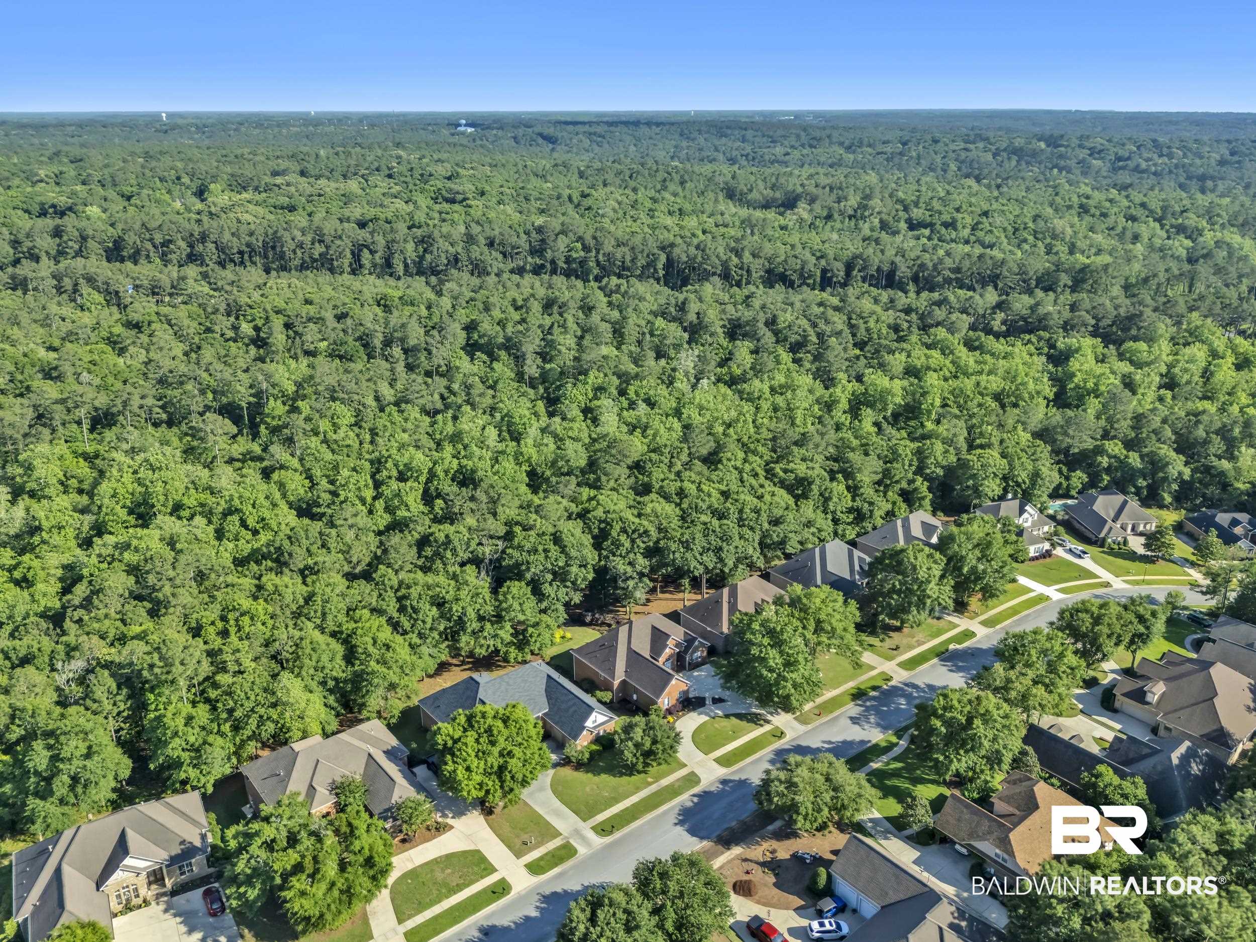 8137 Pine Run Daphne, AL 36527 - Photo 54 of 67 Expansive woodland backdrop bordering a residential street with mature trees and well-maintained lawns