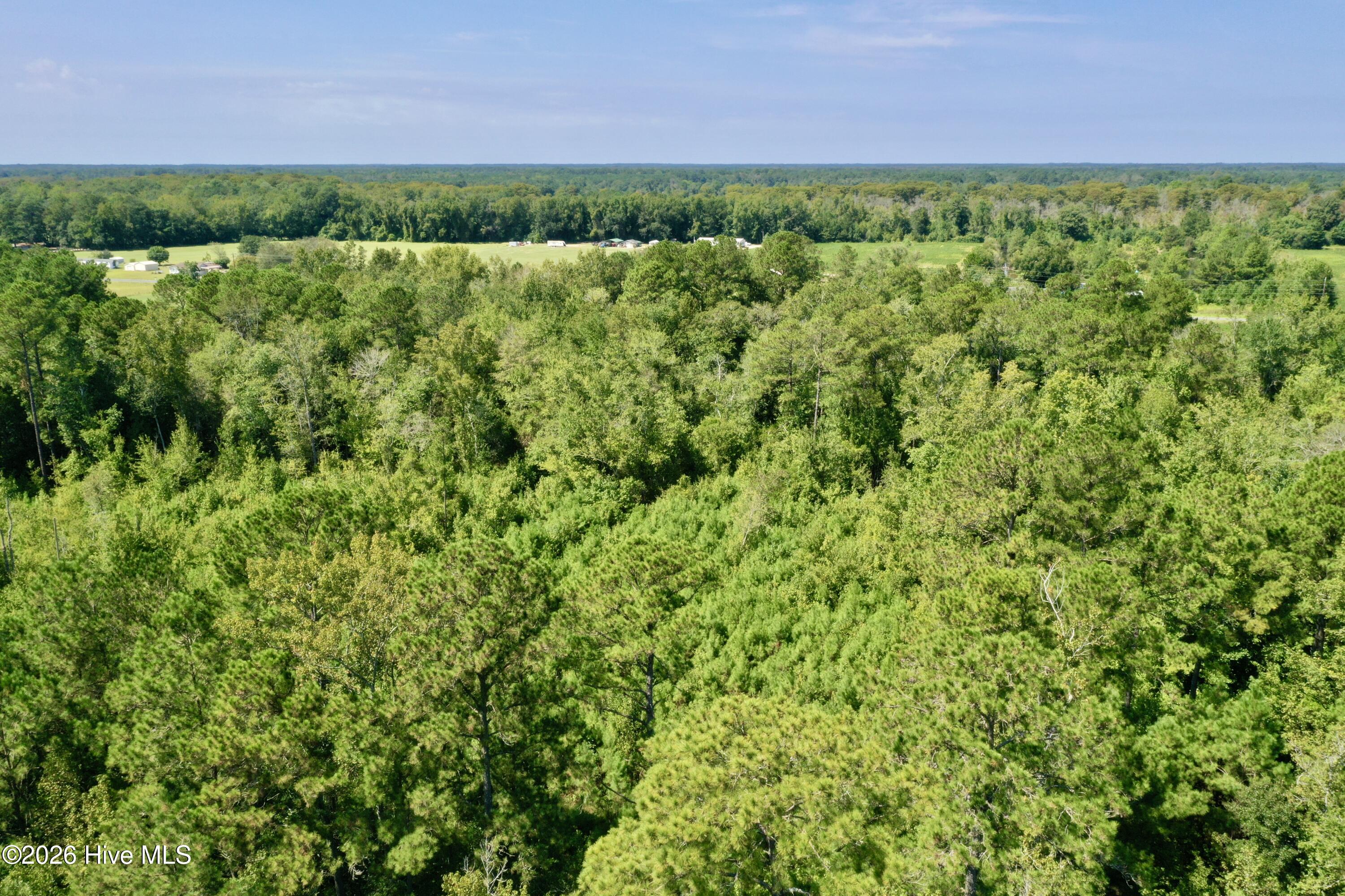 0 Bud Stephens Road Evergreen, NC 28438 - Photo 1 of 12 Gallery Image 1