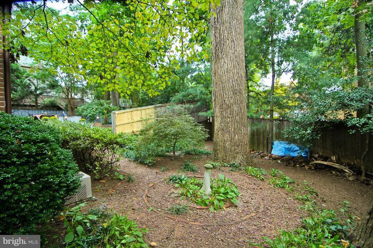 5606 Midwood Road Bethesda, MD 20814 - Photo 1 of 23 Exterior (Rear)