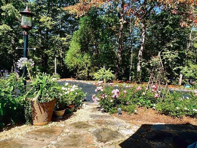 205 Minnehaha Trail Blue Ridge, GA 30513 - Photo 19 of 21