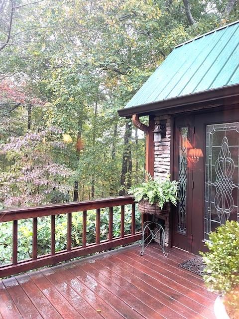 205 Minnehaha Trail Blue Ridge, GA 30513 - Photo 2 of 21