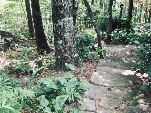 205 Minnehaha Trail Blue Ridge, GA 30513 - Photo 4 of 21