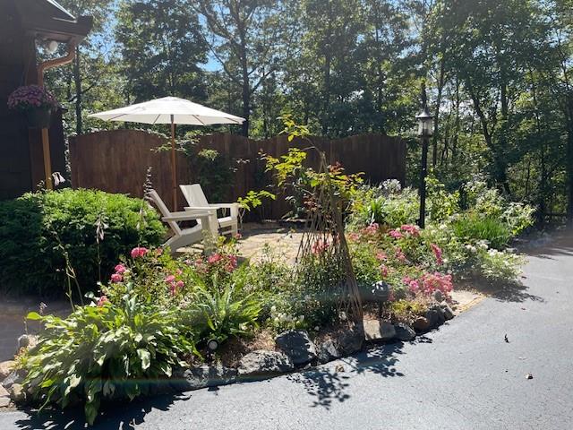205 Minnehaha Trail Blue Ridge, GA 30513 - Photo 6 of 21
