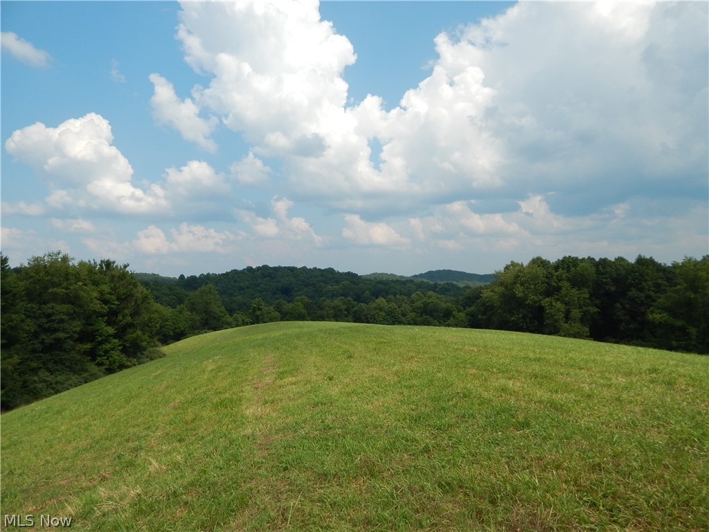 Smithville Road Harrisville, WV 26362 - Photo 21 of 23