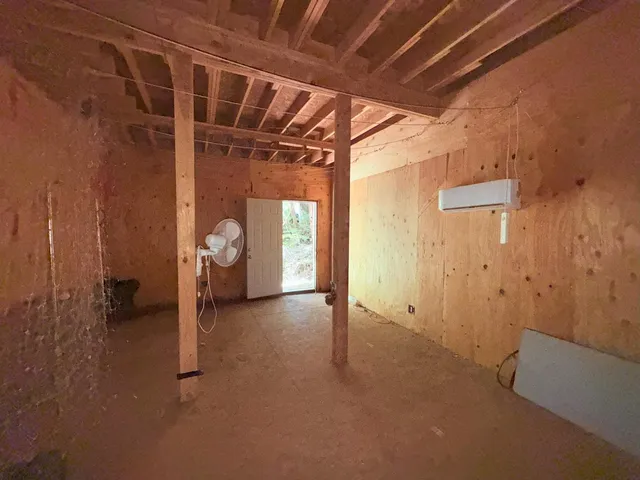 a view of a forest with trees in the background