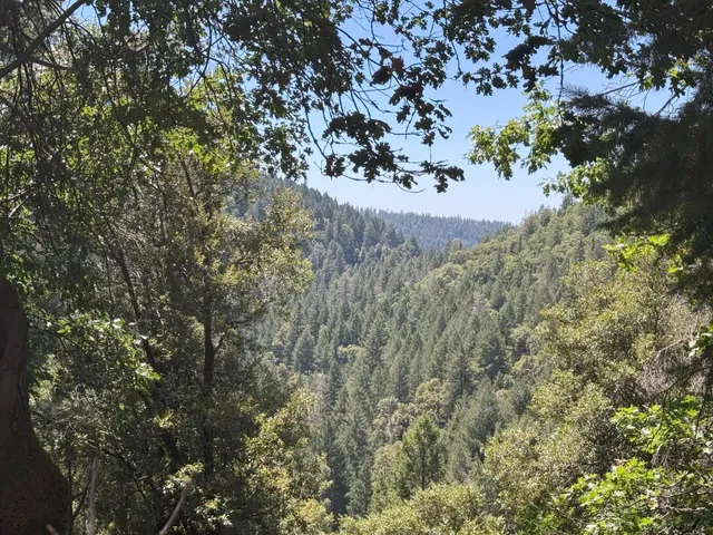 a view of outdoor space and trees
