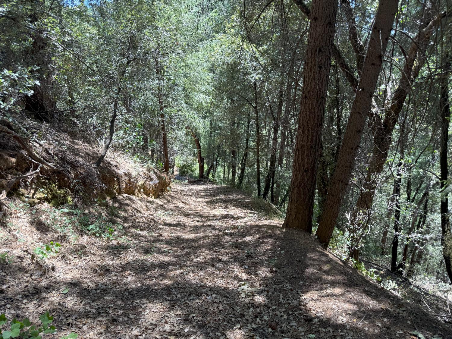 20363 Grizzly Creek Road Nevada City, CA 95959 - Photo 17 of 19 a view of outdoor space and trees