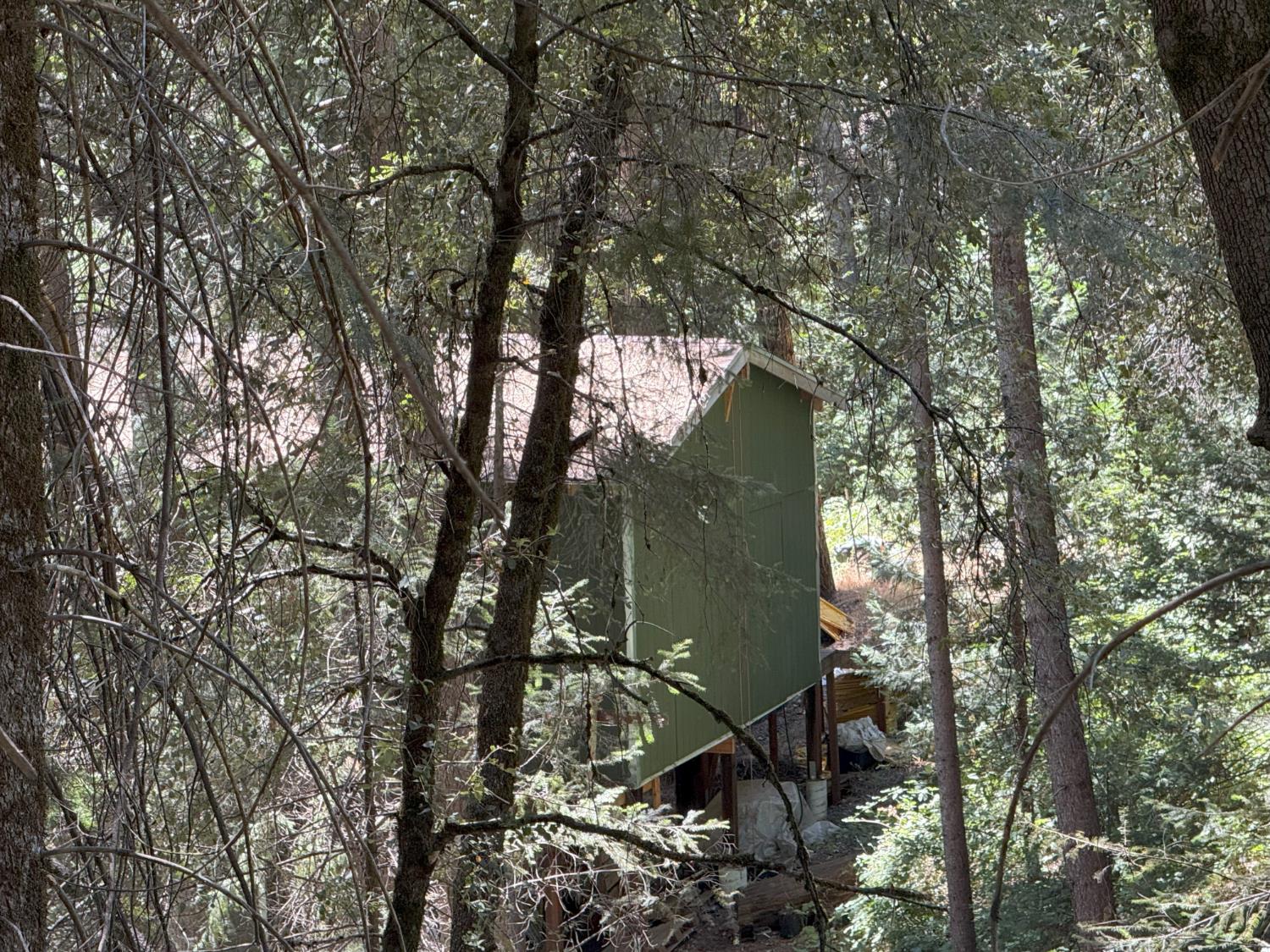 20363 Grizzly Creek Road Nevada City, CA 95959 - Photo 18 of 19 a backyard of a house with lots of trees