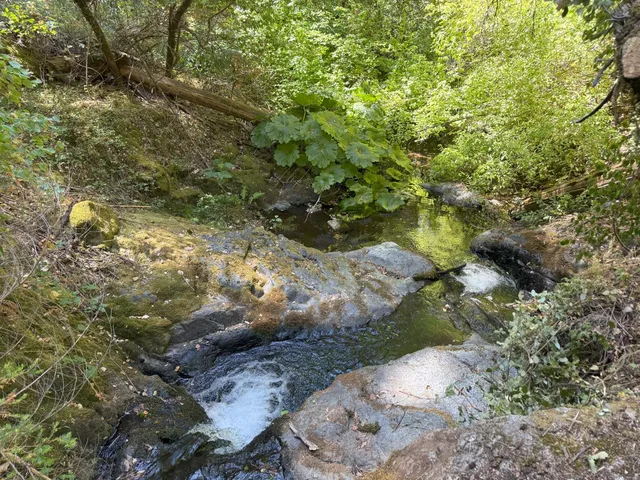 $159,000 | 20363 Grizzly Creek Road, Nevada City, CA 95959