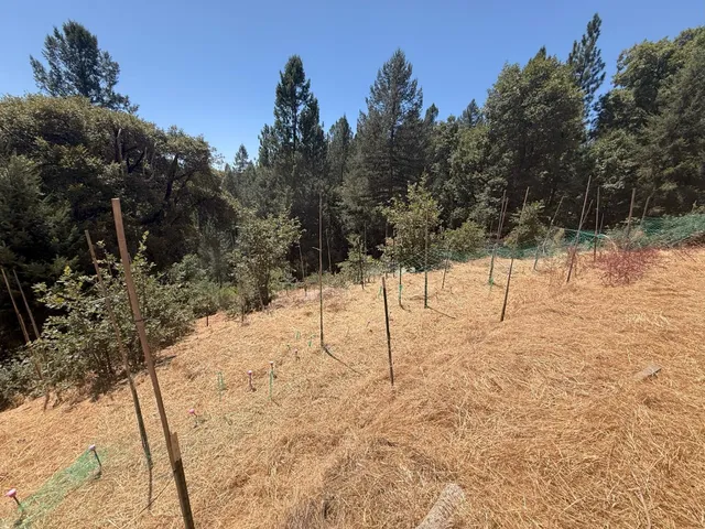 a view of snow on the road