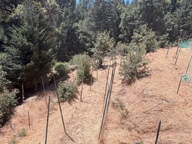a view of a backyard of the house