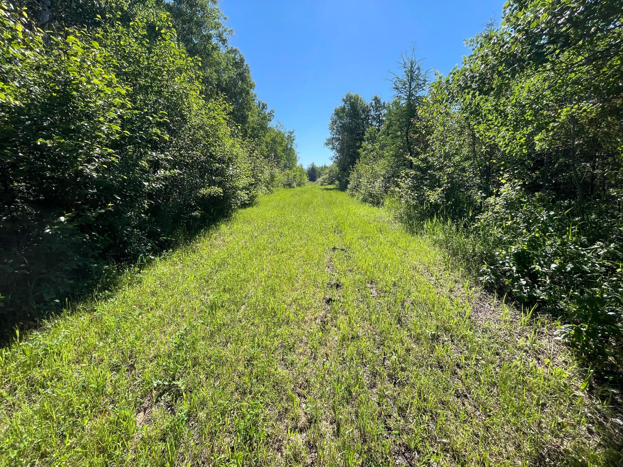 Tbd 440th Avenue Roseau, MN 56751 - Photo 39 of 80
