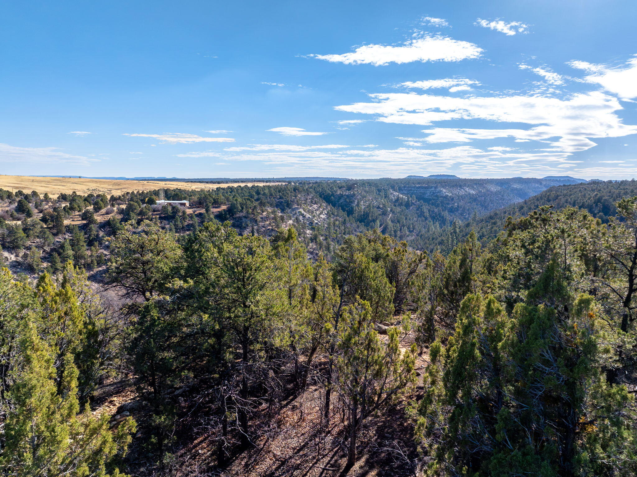 6 South N Frk Road, Unit SERIES 4) Orderville, UT 84758 - Photo 50 of 79 49-web-or-mls- S North Fork Rd. Ordervil