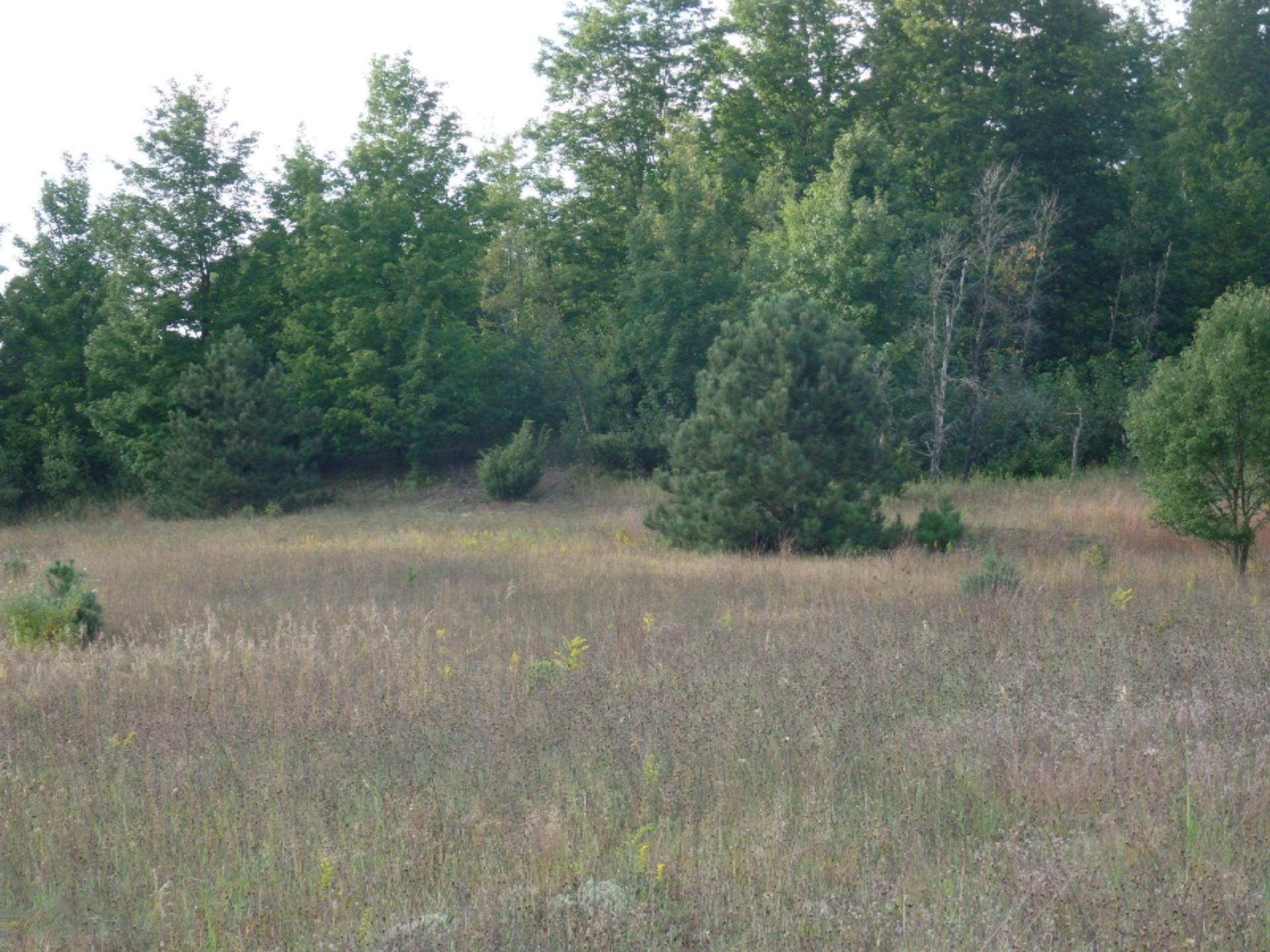 P8290281