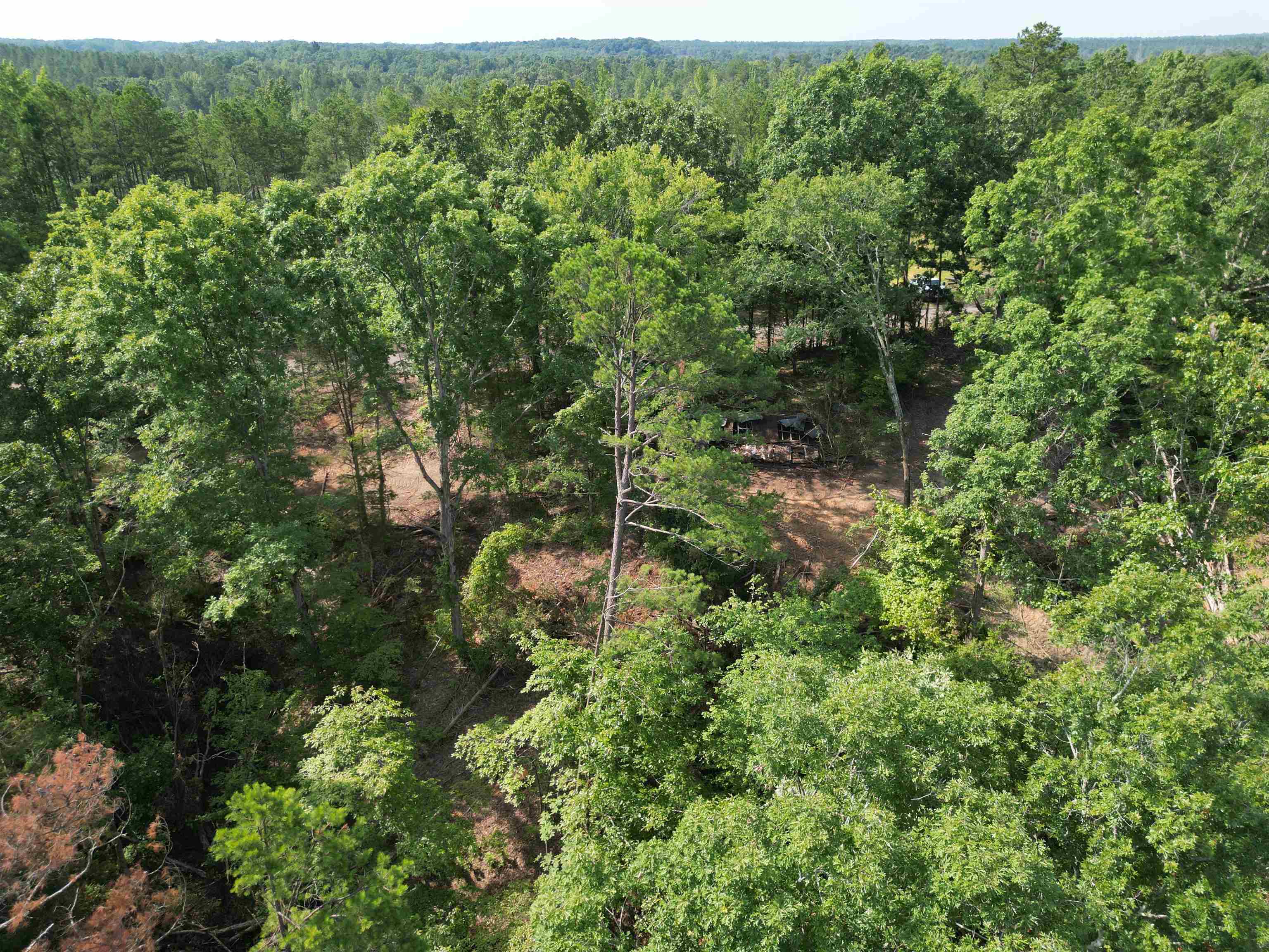 1 Talley Road Hornsby, TN 38044 - Photo 21 of 21 Aerial view
