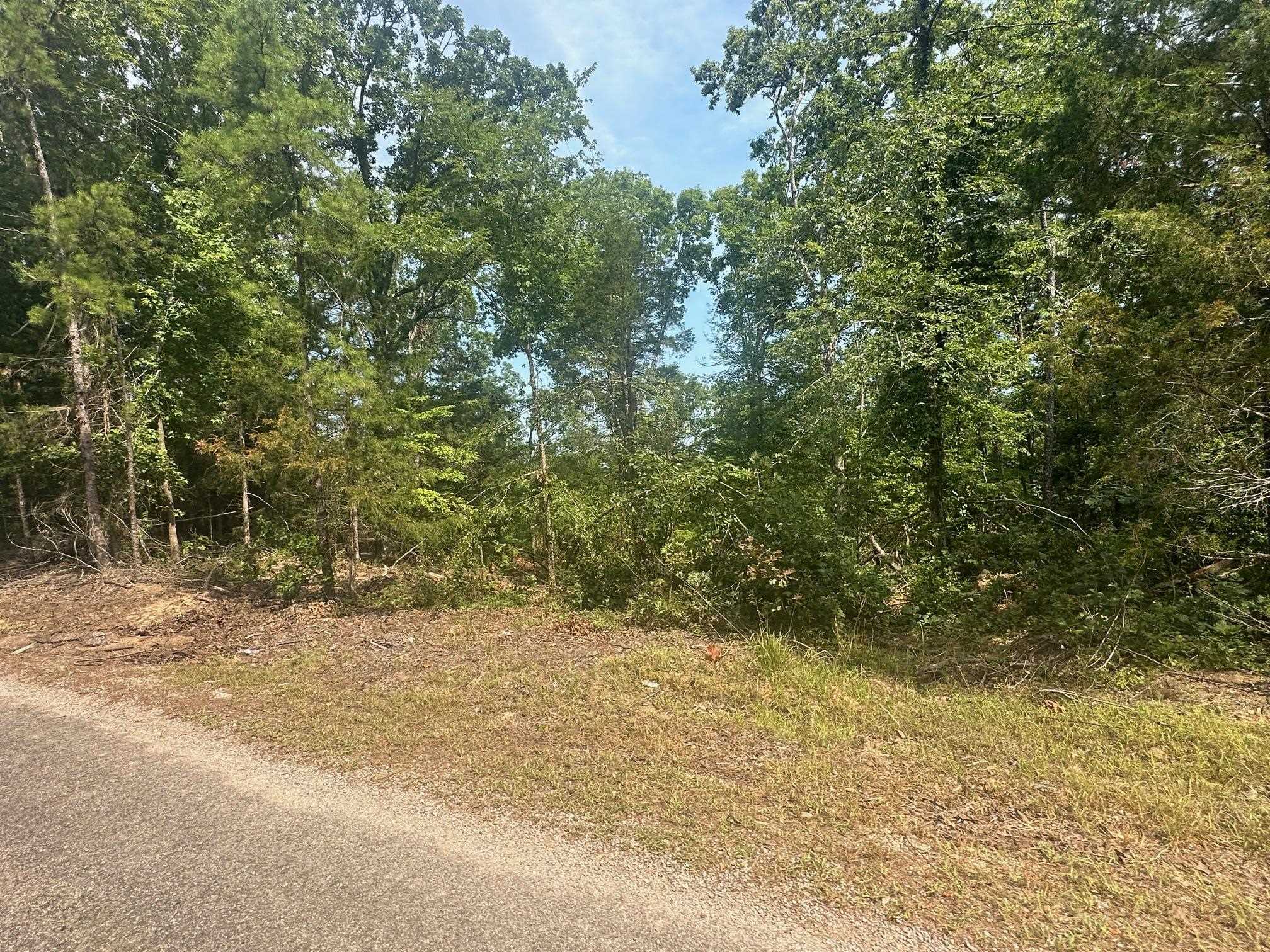 View of road