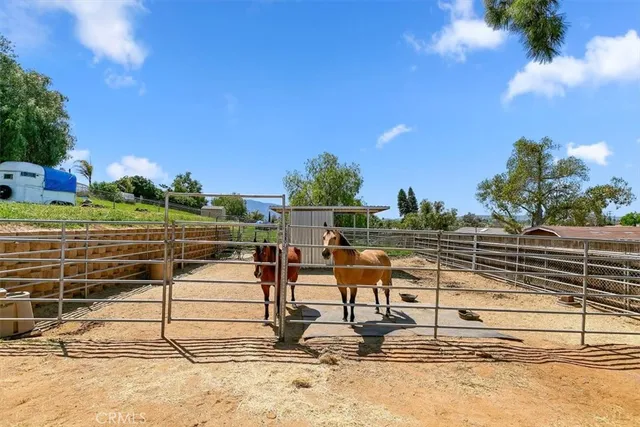 a view of a house with backyard and a tree