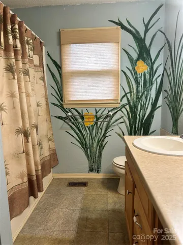 a view of a potted plant with a sink and a mirror