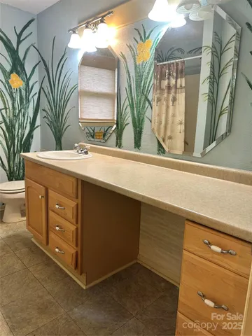 a bathroom with a sink a mirror and a potted plant