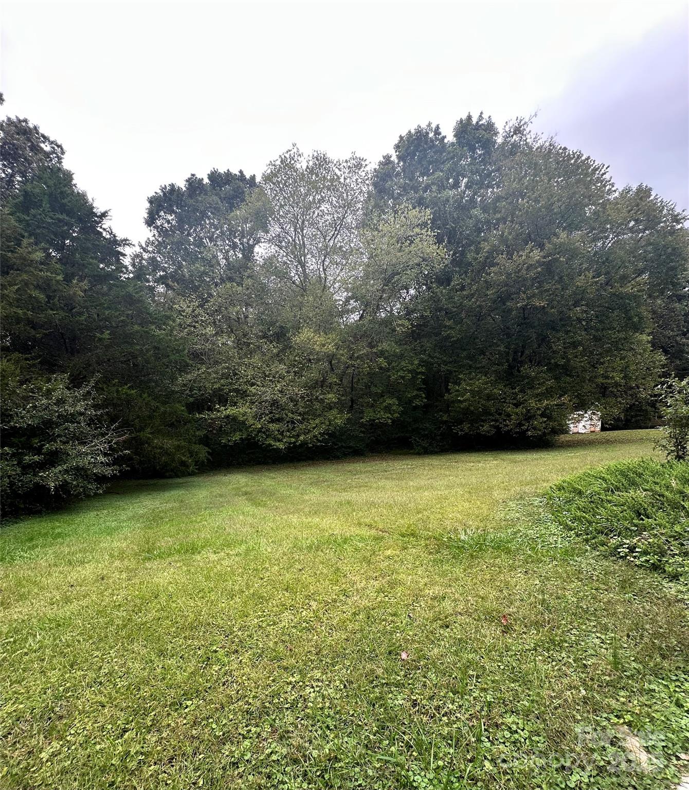 5079 Archdale Drive Conover, NC 28613 - Photo 28 of 30 a view of a yard with a trees