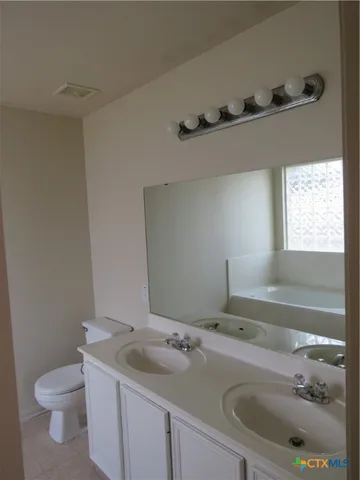 a bathroom with a sink and a toilet